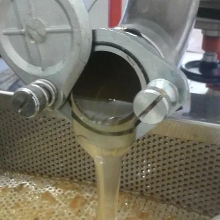 Pedrosola * Brisighella