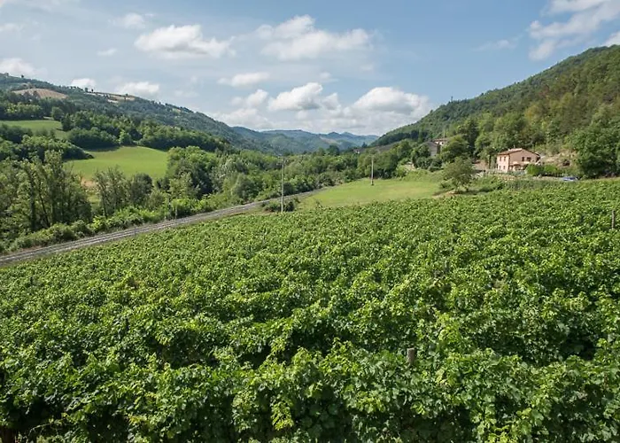 Pedrosola Brisighella