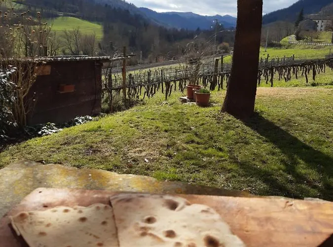 Gospodarstwo agroturystyczne Pedrosola