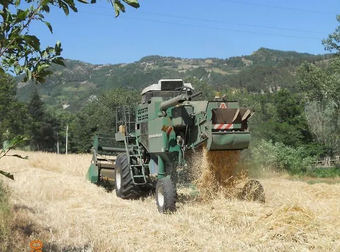 Gospodarstwo agroturystyczne Pedrosola Brisighella