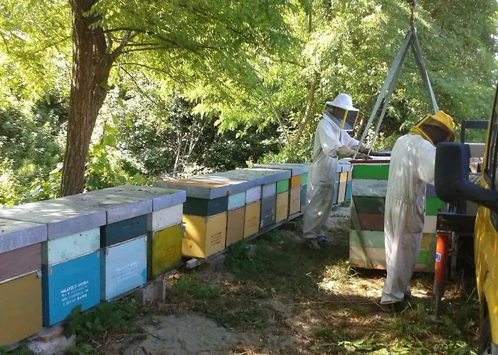 Pedrosola Gospodarstwo agroturystyczne