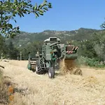Farma Pedrosola Brisighella
