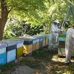 Pedrosola Farma
