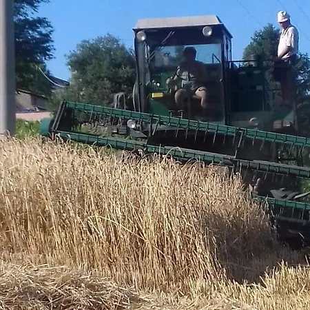 Pedrosola * ブリジゲッラ