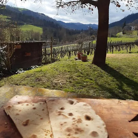 Séjour à la ferme Pedrosola