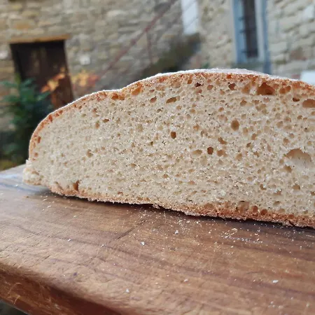 Pedrosola * ブリジゲッラ