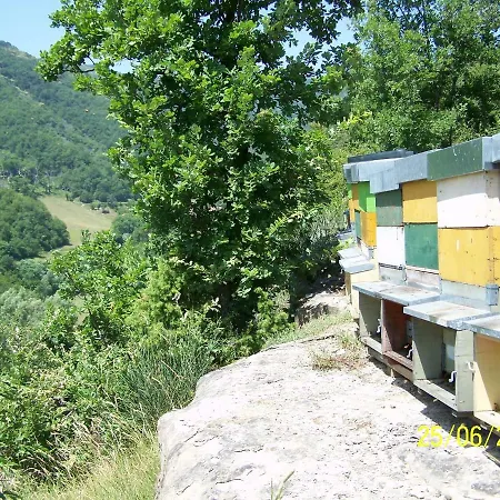 Pedrosola