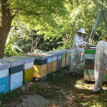 Pedrosola Séjour à la ferme